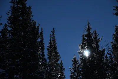 DSC_4980 (Large).JPG